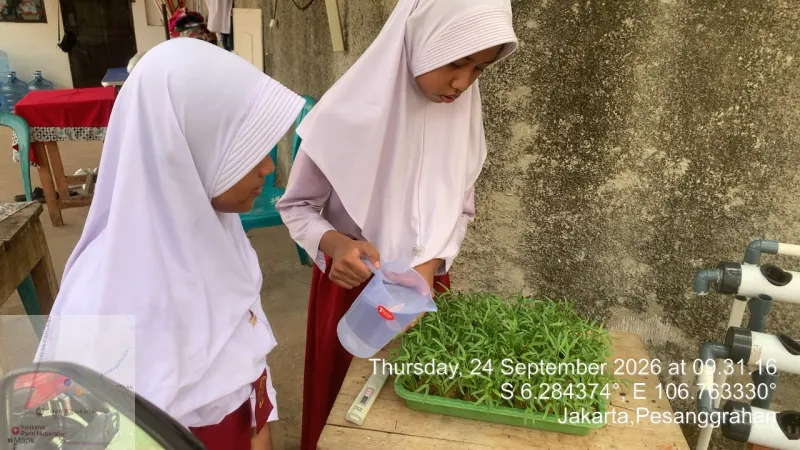 Lahan Urban Farming SDN Bintaro 09 - Gambar 79