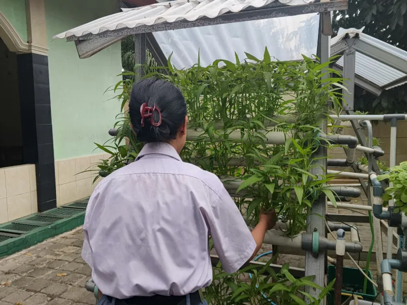 Lahan Urban Farming SMKN 59 Jakarta - Gambar 115