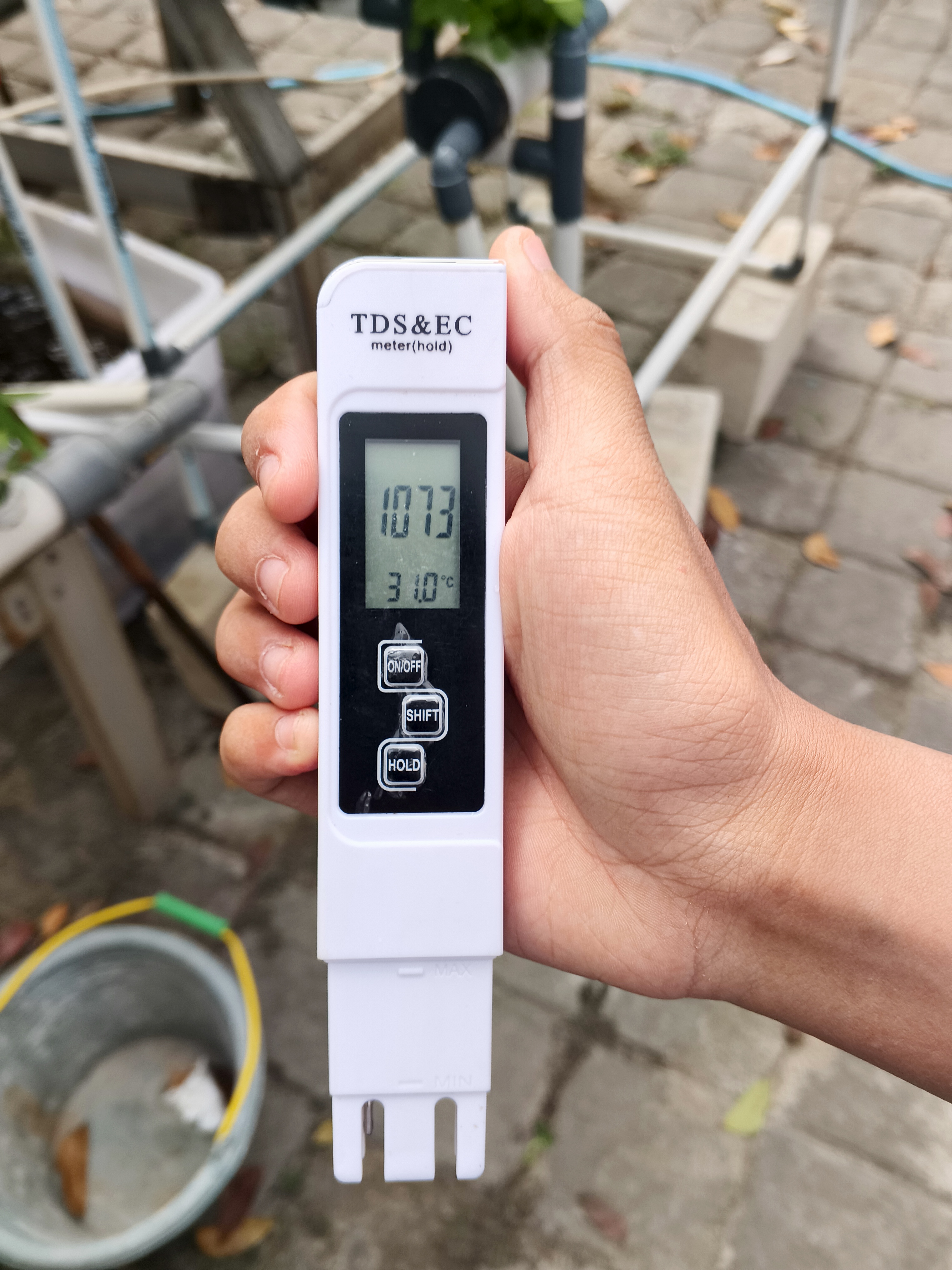 Lahan Urban Farming SMKN 59 Jakarta - Gambar 112