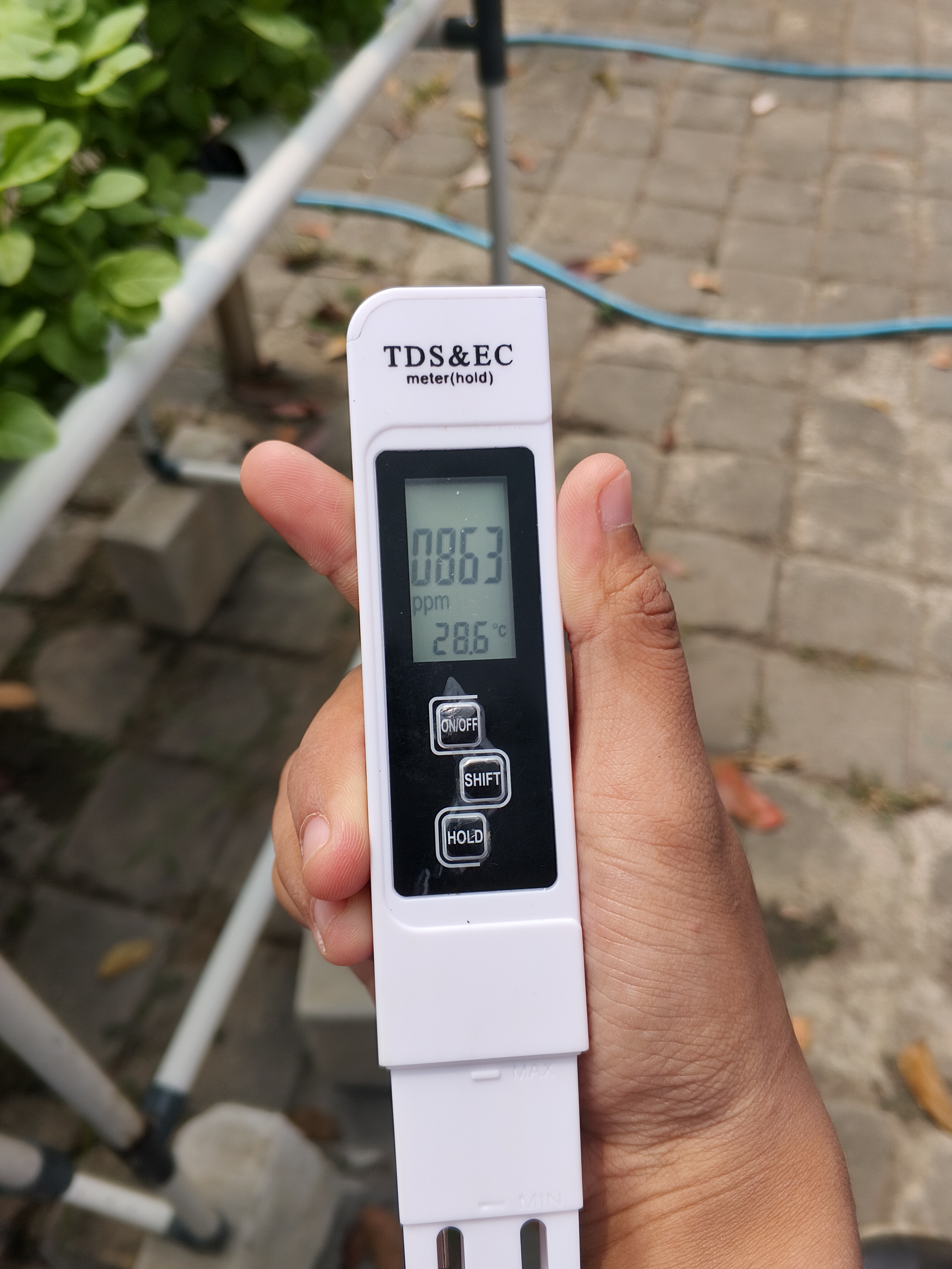 Lahan Urban Farming SMKN 59 Jakarta - Gambar 113