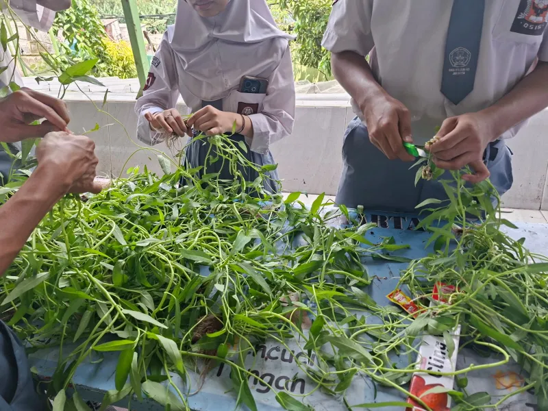 Lahan Urban Farming SMAN 63 Jakarta - Gambar 38