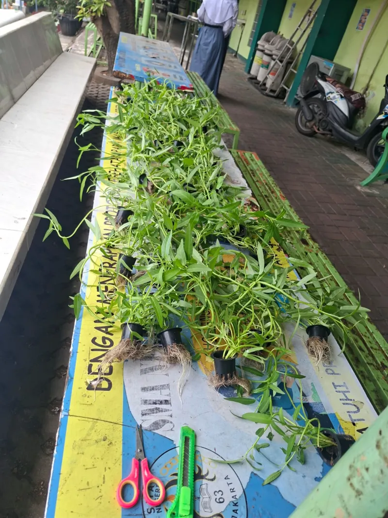 Lahan Urban Farming SMAN 63 Jakarta - Gambar 41