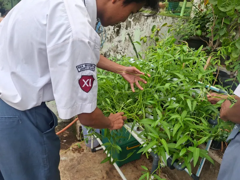 Lahan Urban Farming SMAN 63 Jakarta - Gambar 40