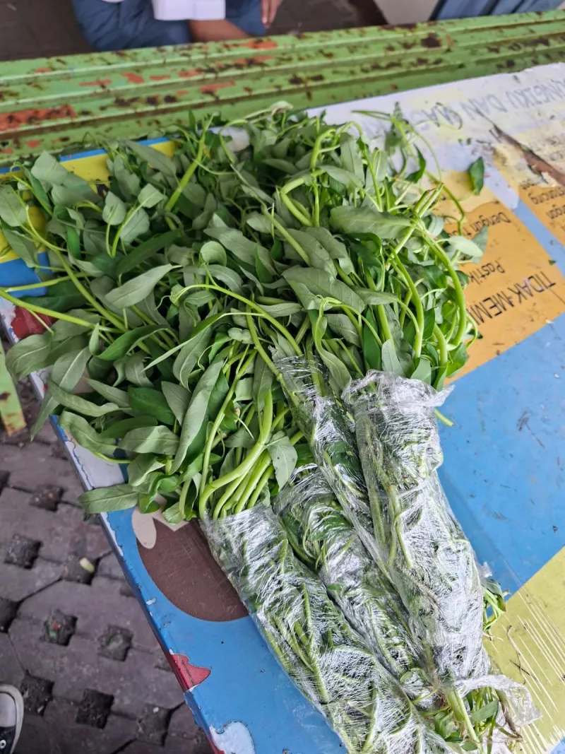 Lahan Urban Farming SMAN 63 Jakarta - Gambar 39