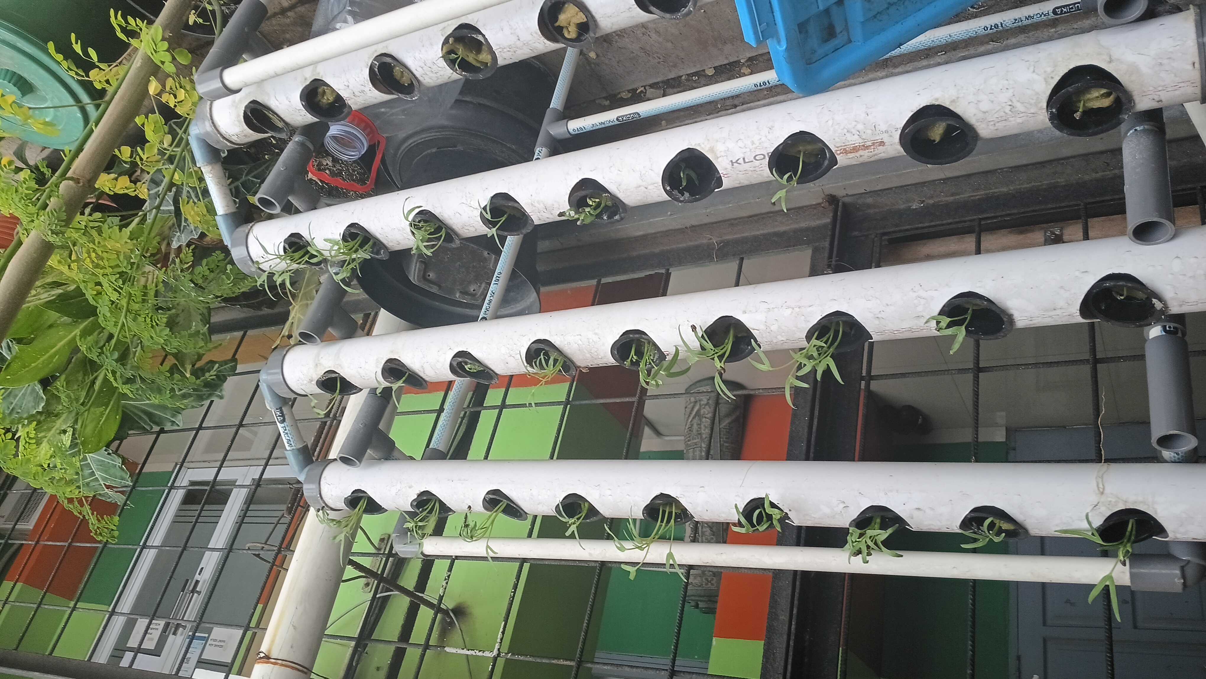 Lahan Urban Farming SMKN 41 Jakarta - Gambar 24