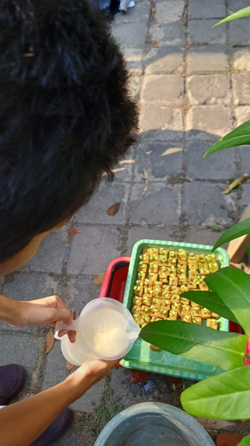 Lahan Urban Farming SMKN 59 Jakarta - Gambar 108