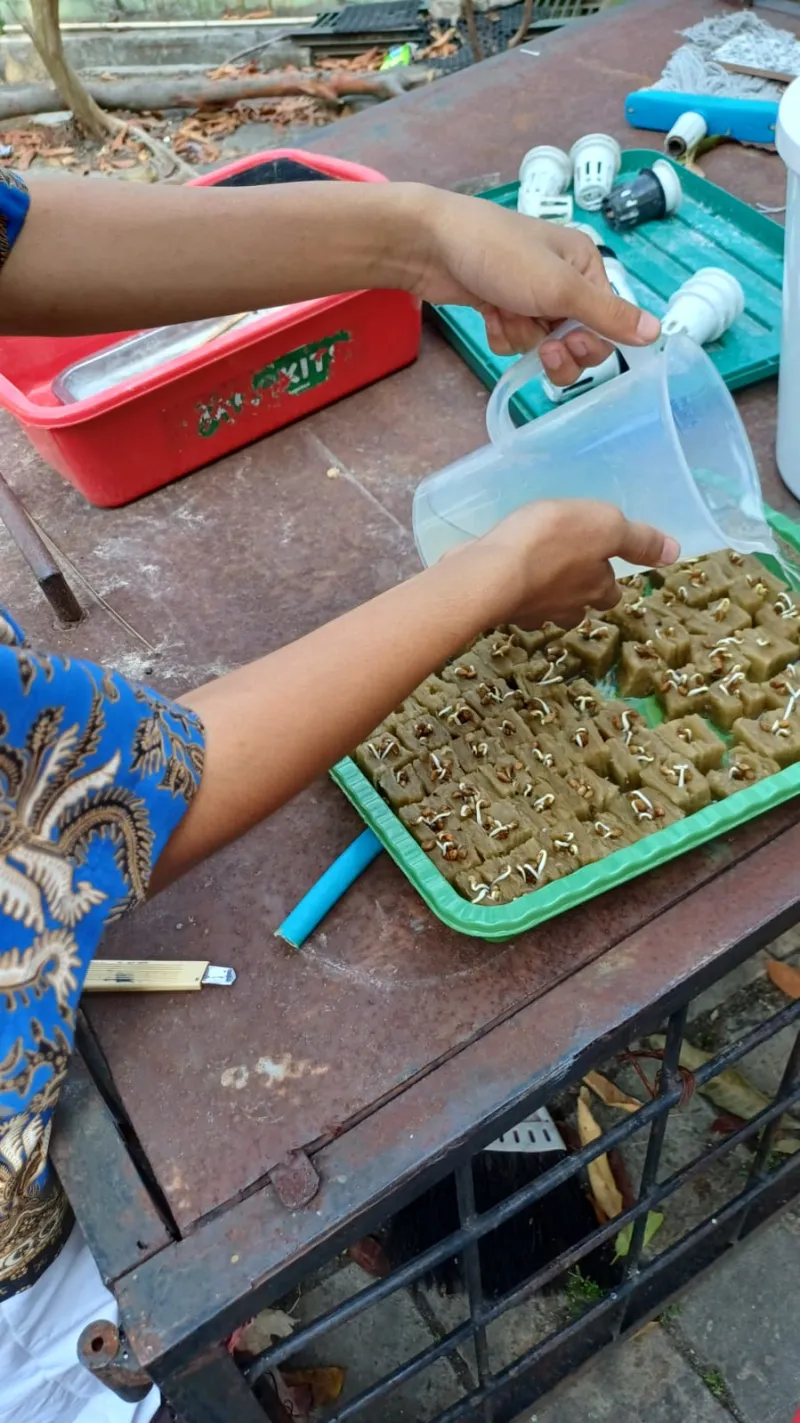 Lahan Urban Farming SMKN 59 Jakarta - Gambar 109