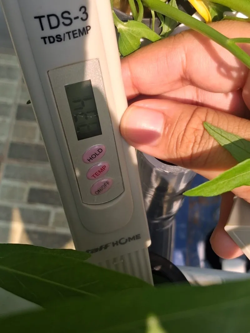 Lahan Urban Farming SMAN 34 Jakarta - Gambar 30