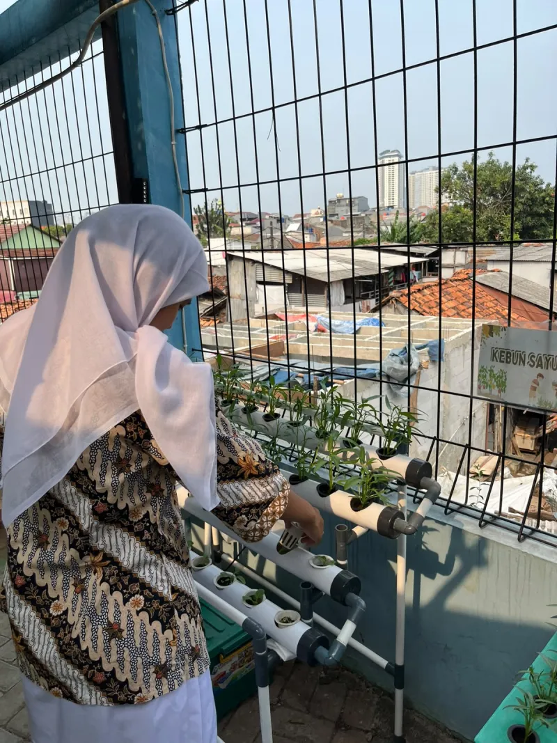 Lahan Urban Farming SMKN 43 Jakarta - Gambar 95