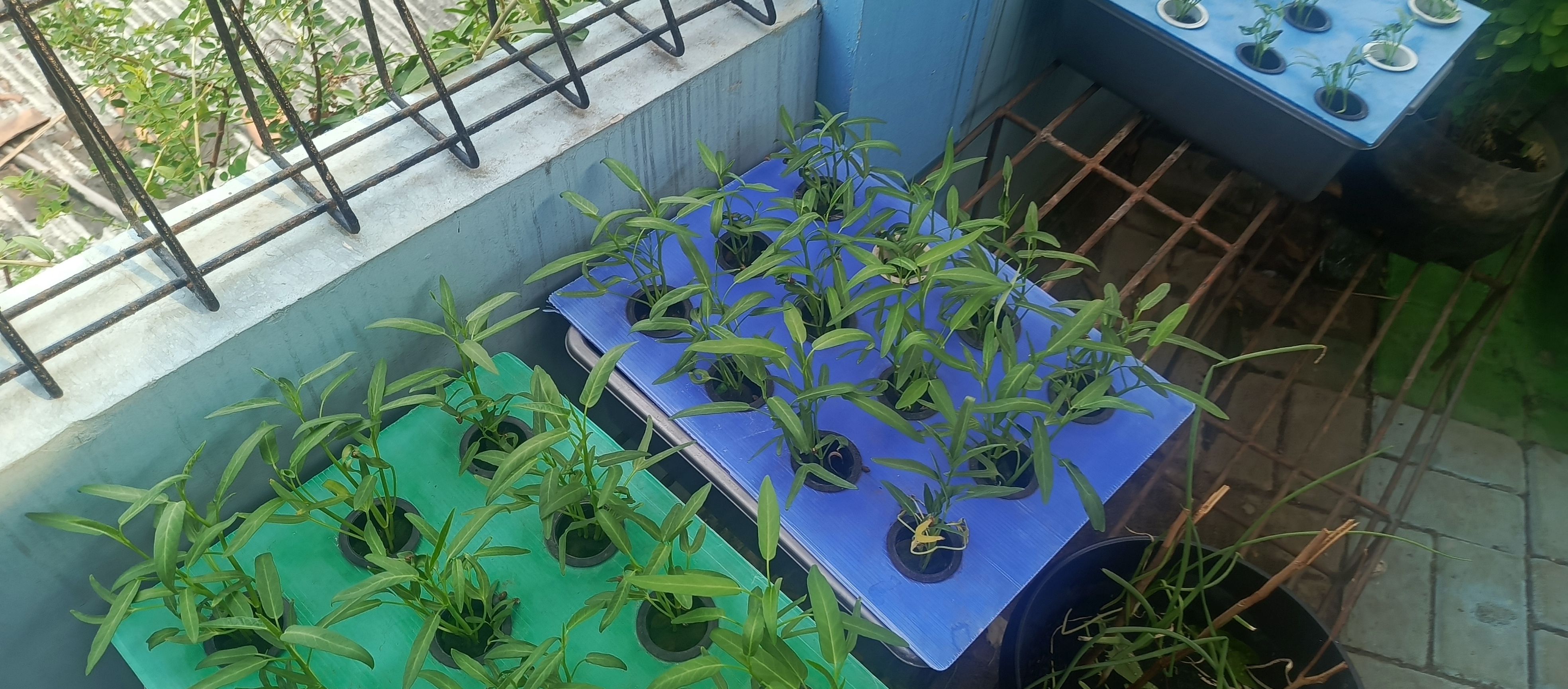 Lahan Urban Farming SMKN 43 Jakarta - Gambar 92