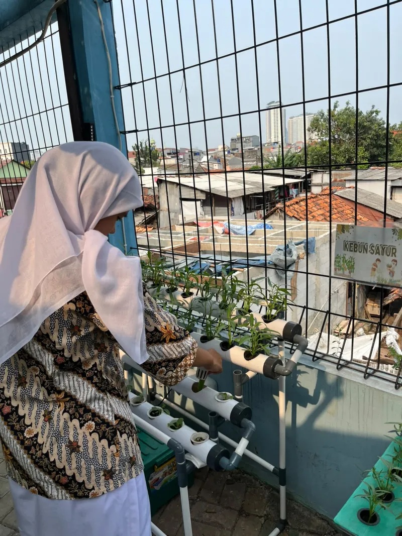 Lahan Urban Farming SMKN 43 Jakarta - Gambar 96