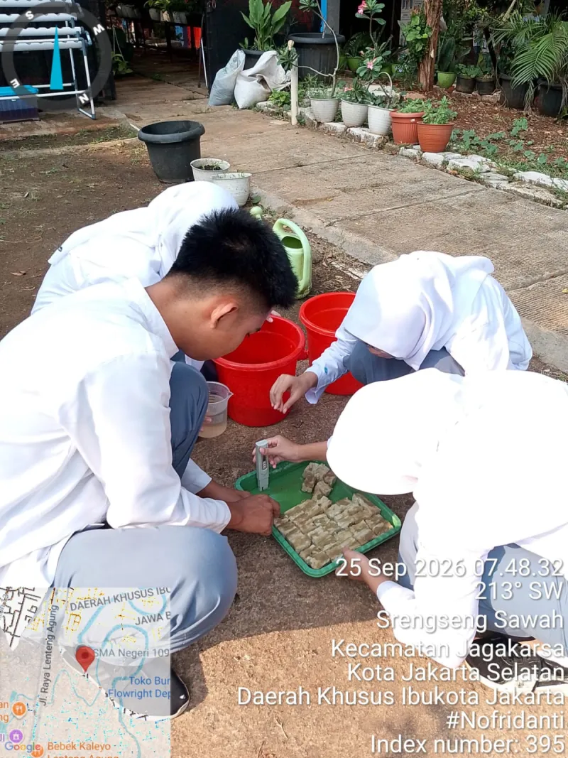 Lahan Urban Farming SMAN 109 Jakarta - Gambar 114