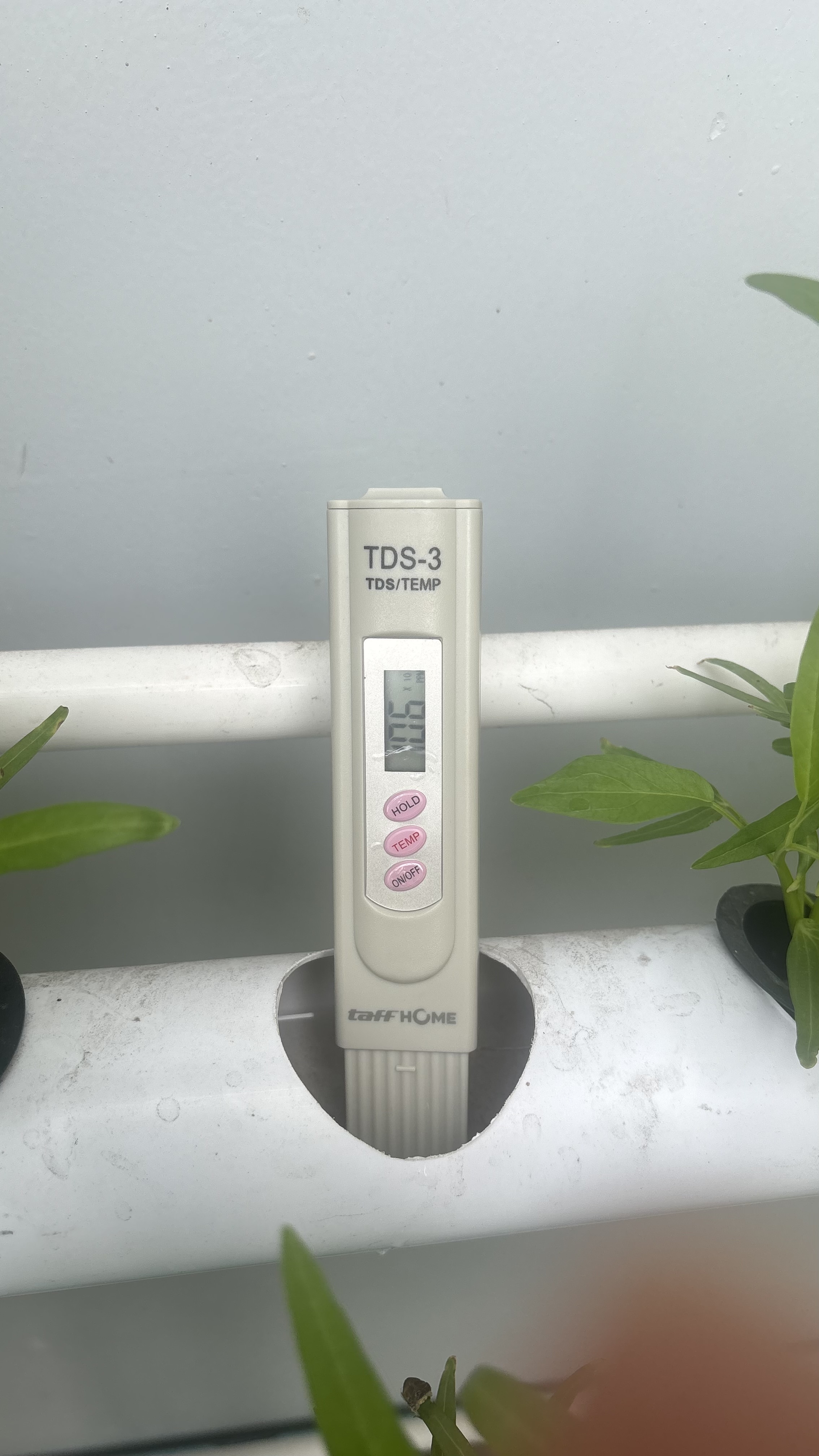 Lahan Urban Farming SMAN 116 Jakarta - Gambar 62