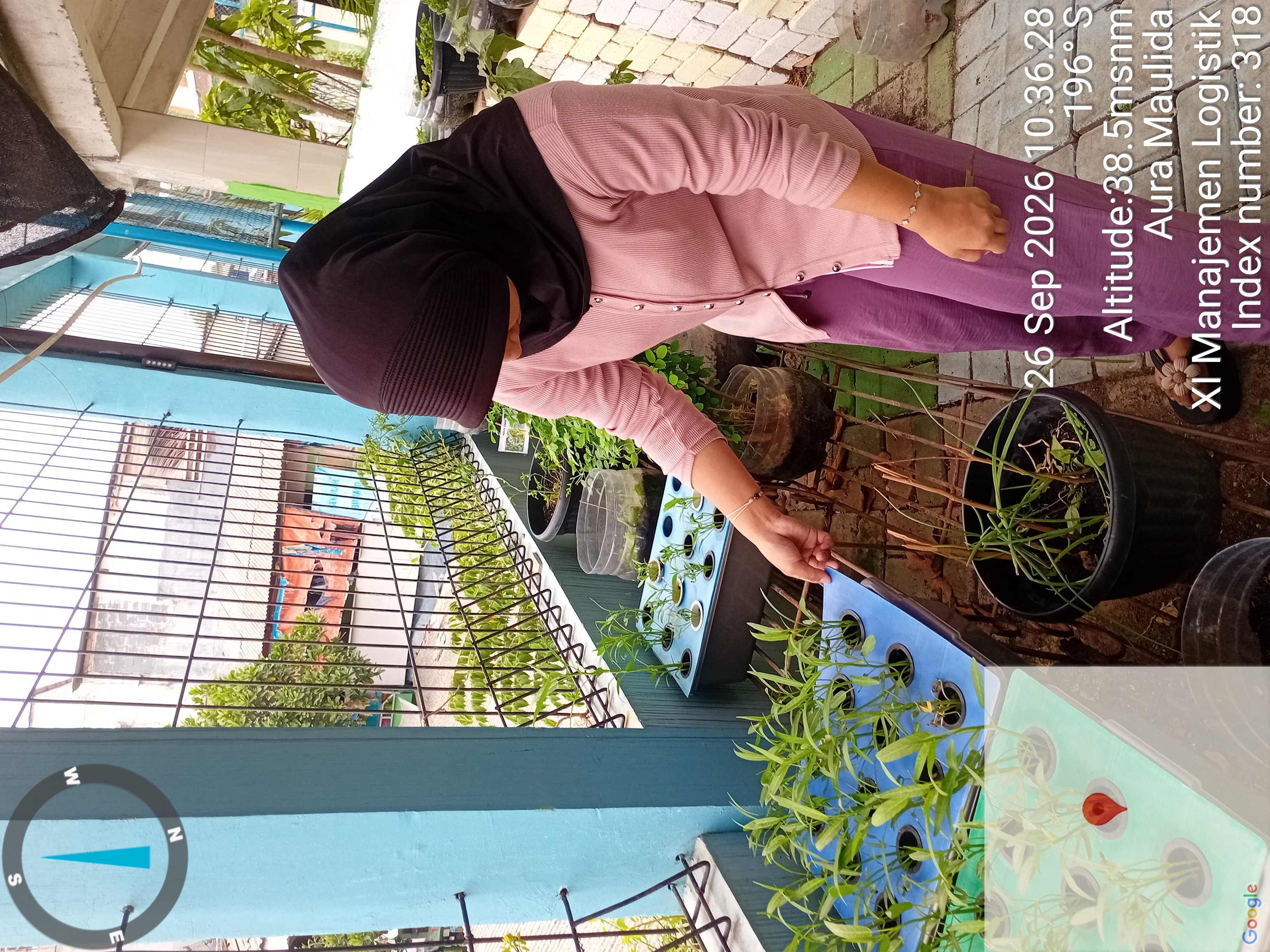 Lahan Urban Farming SMKN 43 Jakarta - Gambar 90