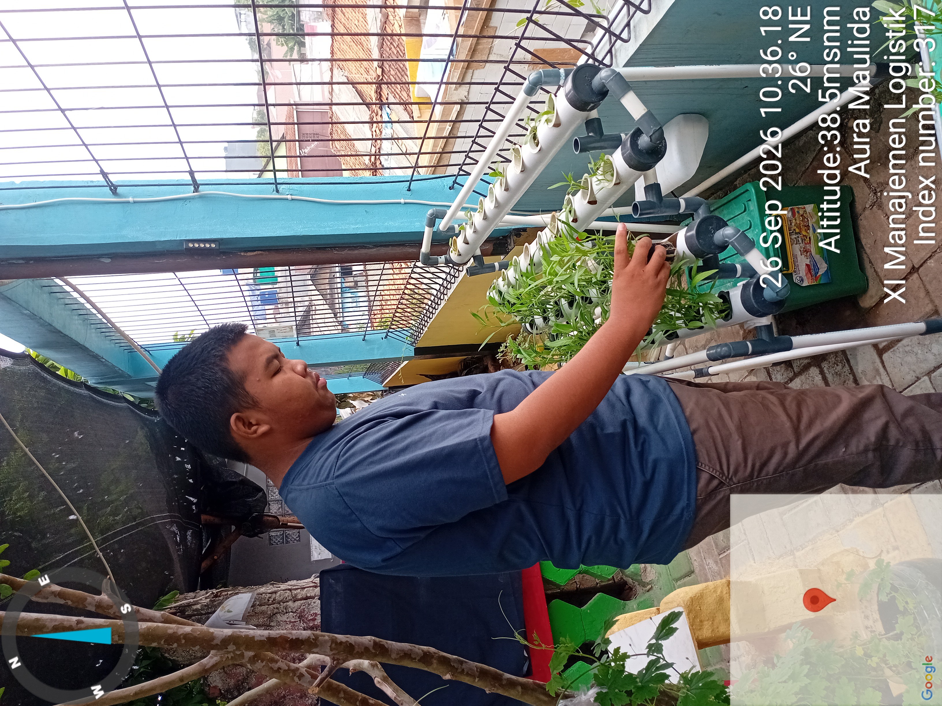 Lahan Urban Farming SMKN 43 Jakarta - Gambar 91