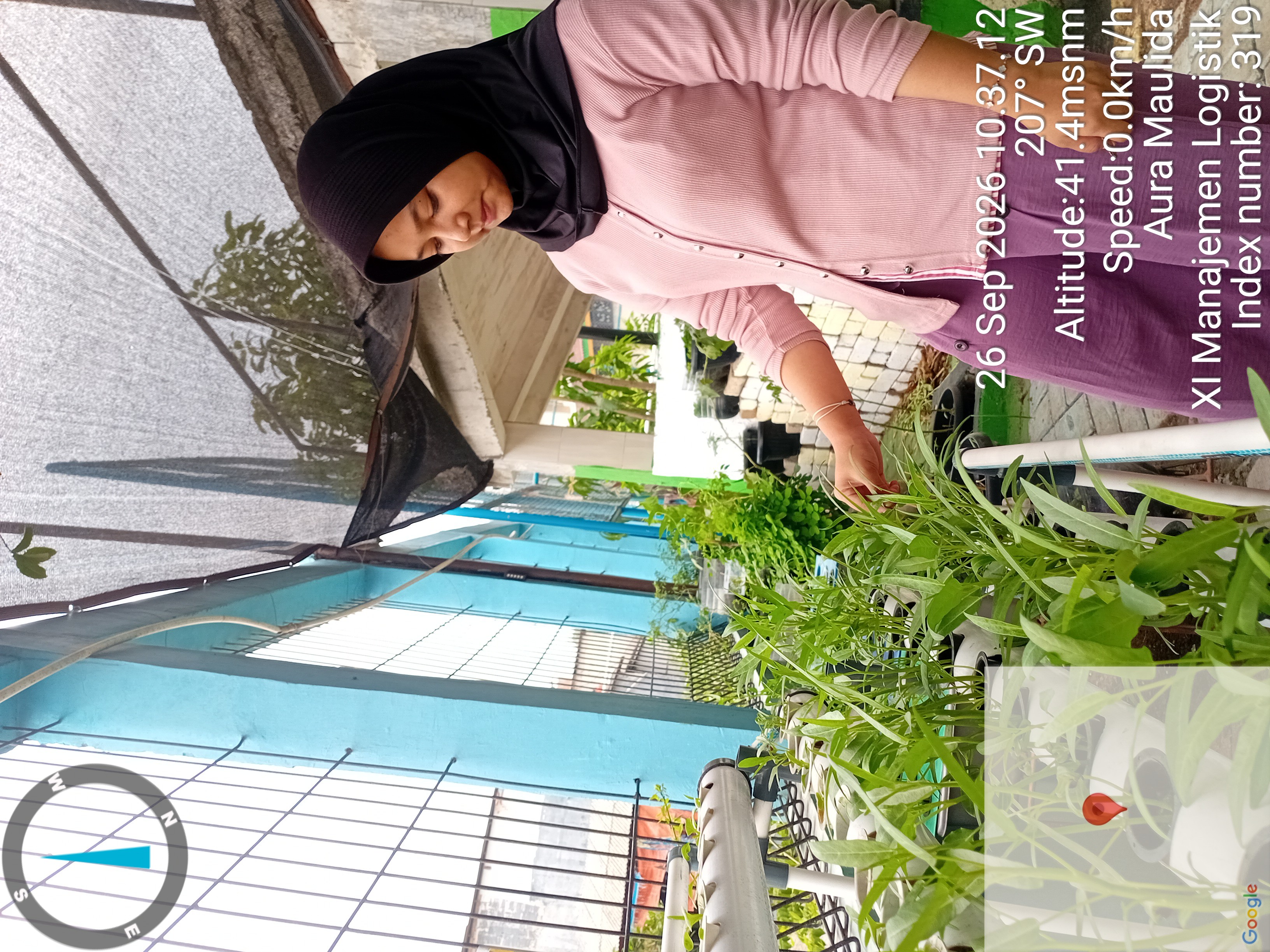 Lahan Urban Farming SMKN 43 Jakarta - Gambar 89