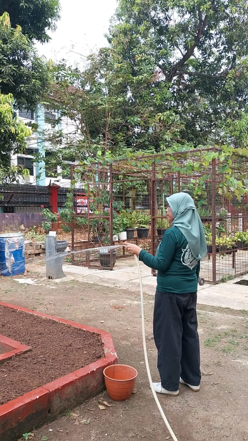 Lahan Urban Farming SMAN 109 Jakarta - Gambar 110