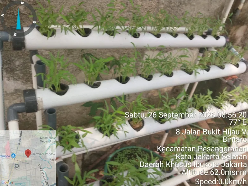 Lahan Urban Farming SDN Bintaro 09 - Gambar 77