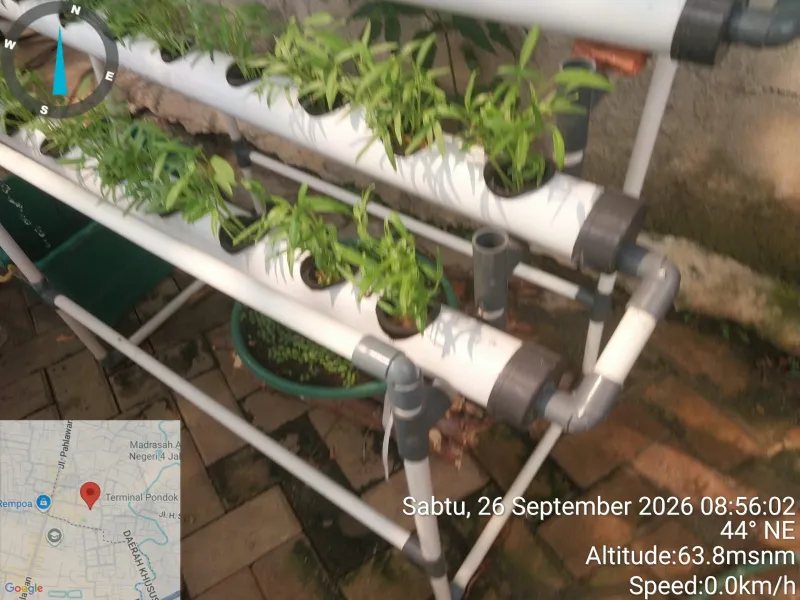 Lahan Urban Farming SDN Bintaro 09 - Gambar 78