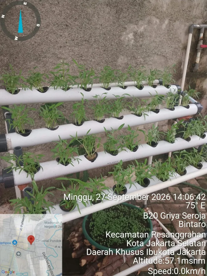 Lahan Urban Farming SDN Bintaro 09 - Gambar 76