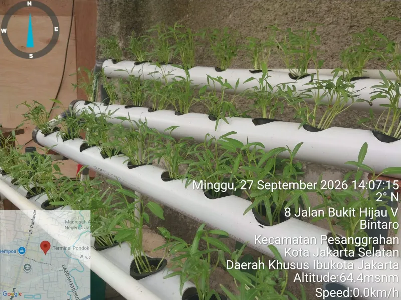 Lahan Urban Farming SDN Bintaro 09 - Gambar 75