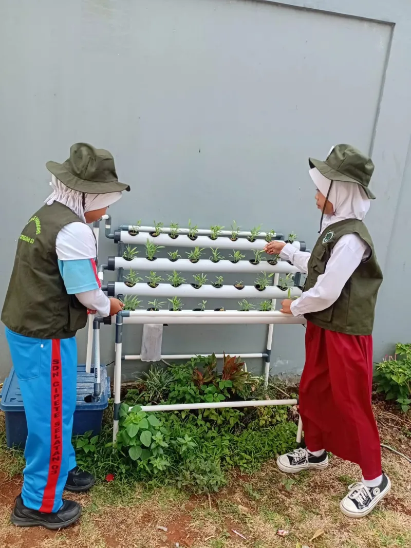 Lahan Urban Farming SDN Cipete Selatan 03 - Gambar 47