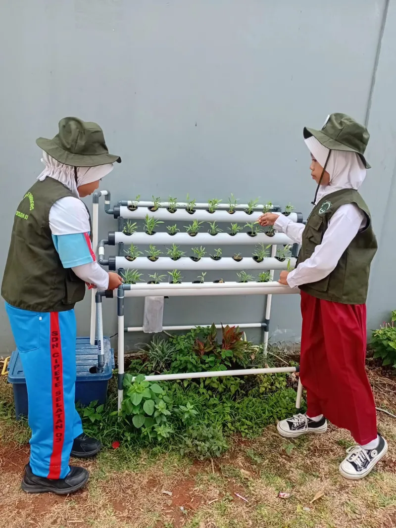 Lahan Urban Farming SDN Cipete Selatan 03 - Gambar 48