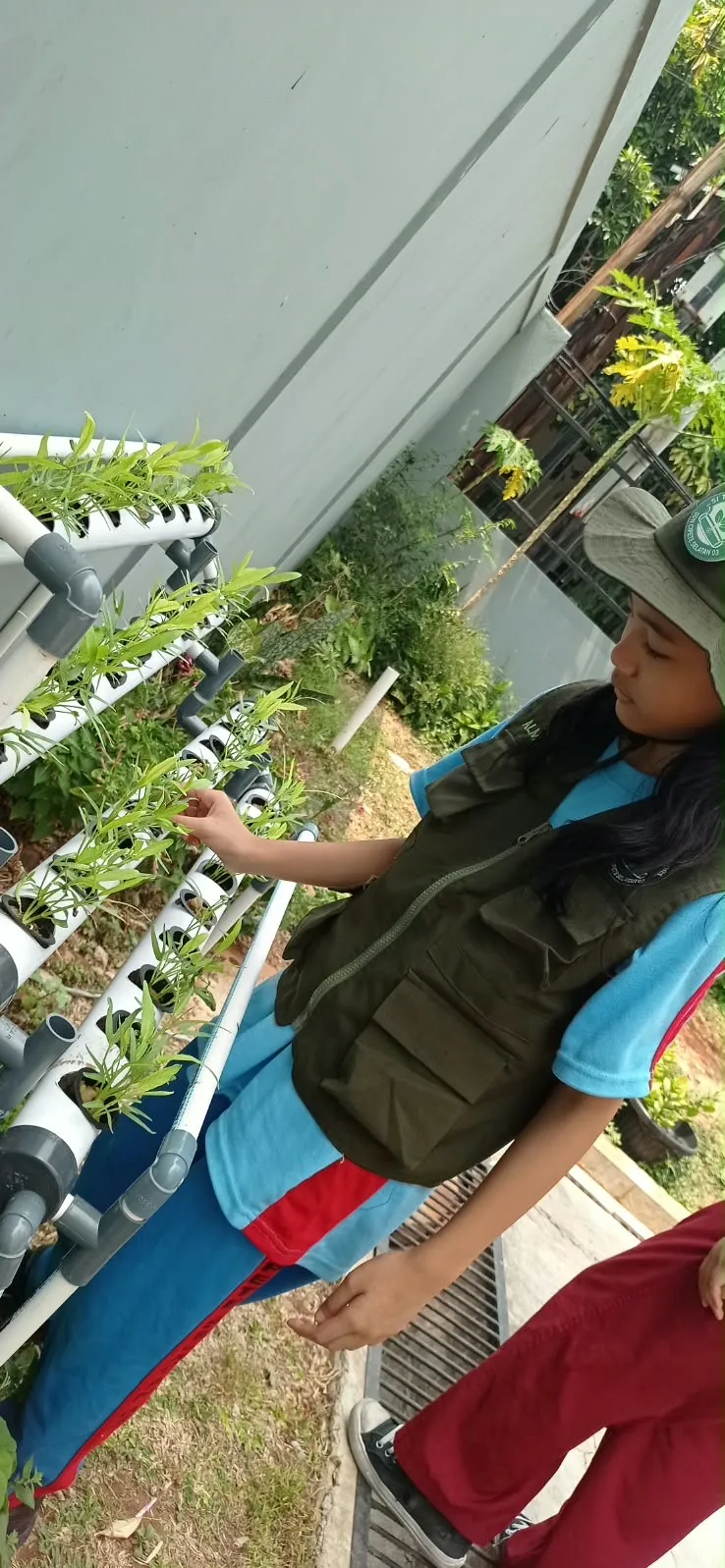Lahan Urban Farming SDN Cipete Selatan 03 - Gambar 43