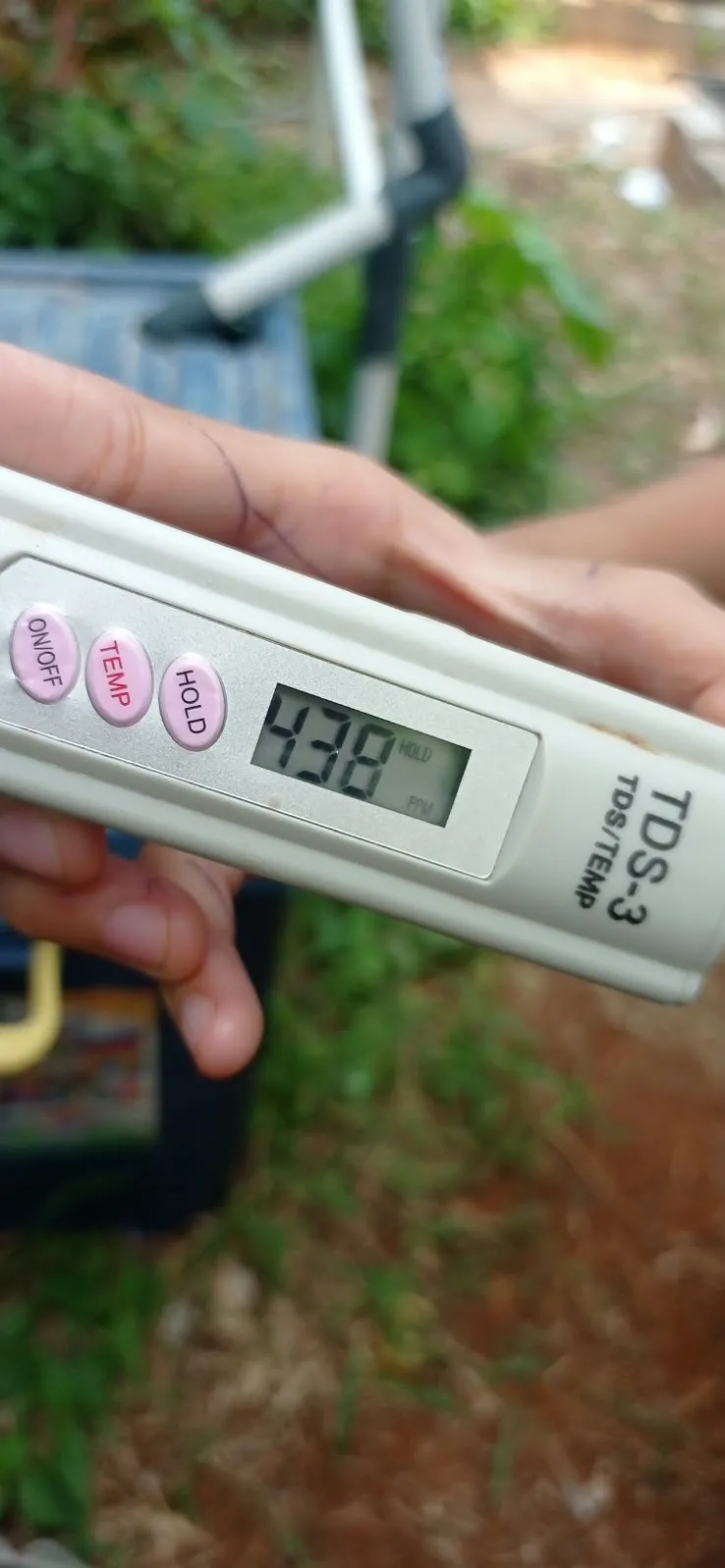 Lahan Urban Farming SDN Cipete Selatan 03 - Gambar 44