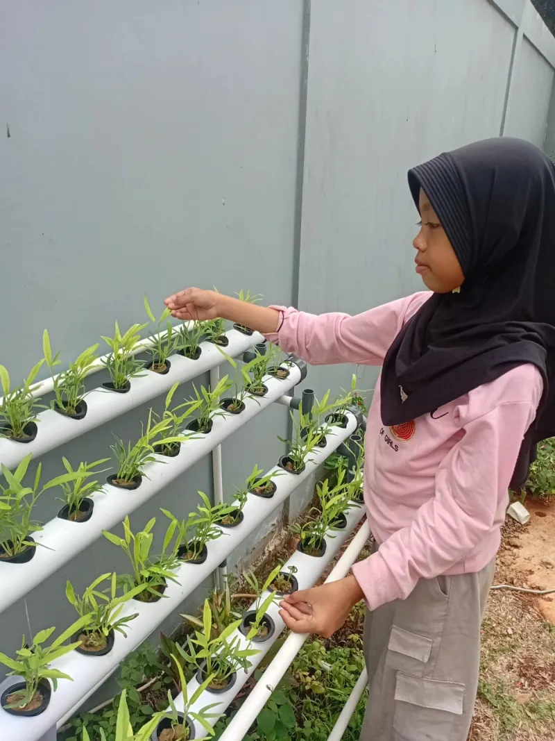 Lahan Urban Farming SDN Cipete Selatan 03 - Gambar 39