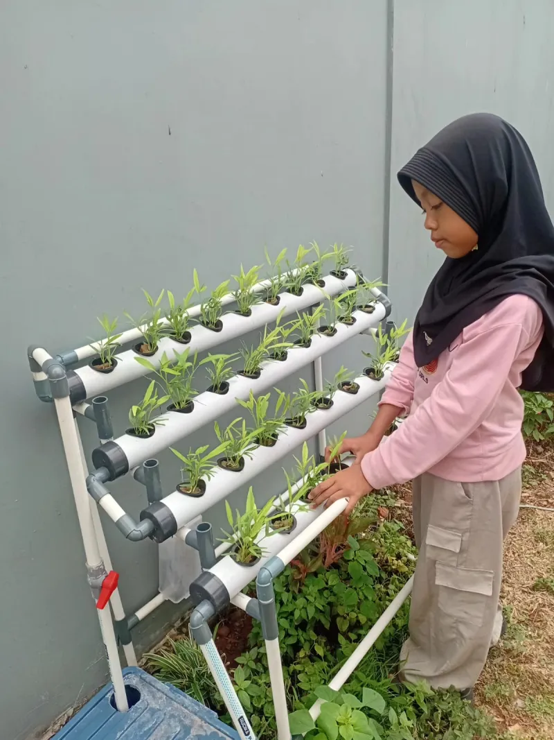 Lahan Urban Farming SDN Cipete Selatan 03 - Gambar 40