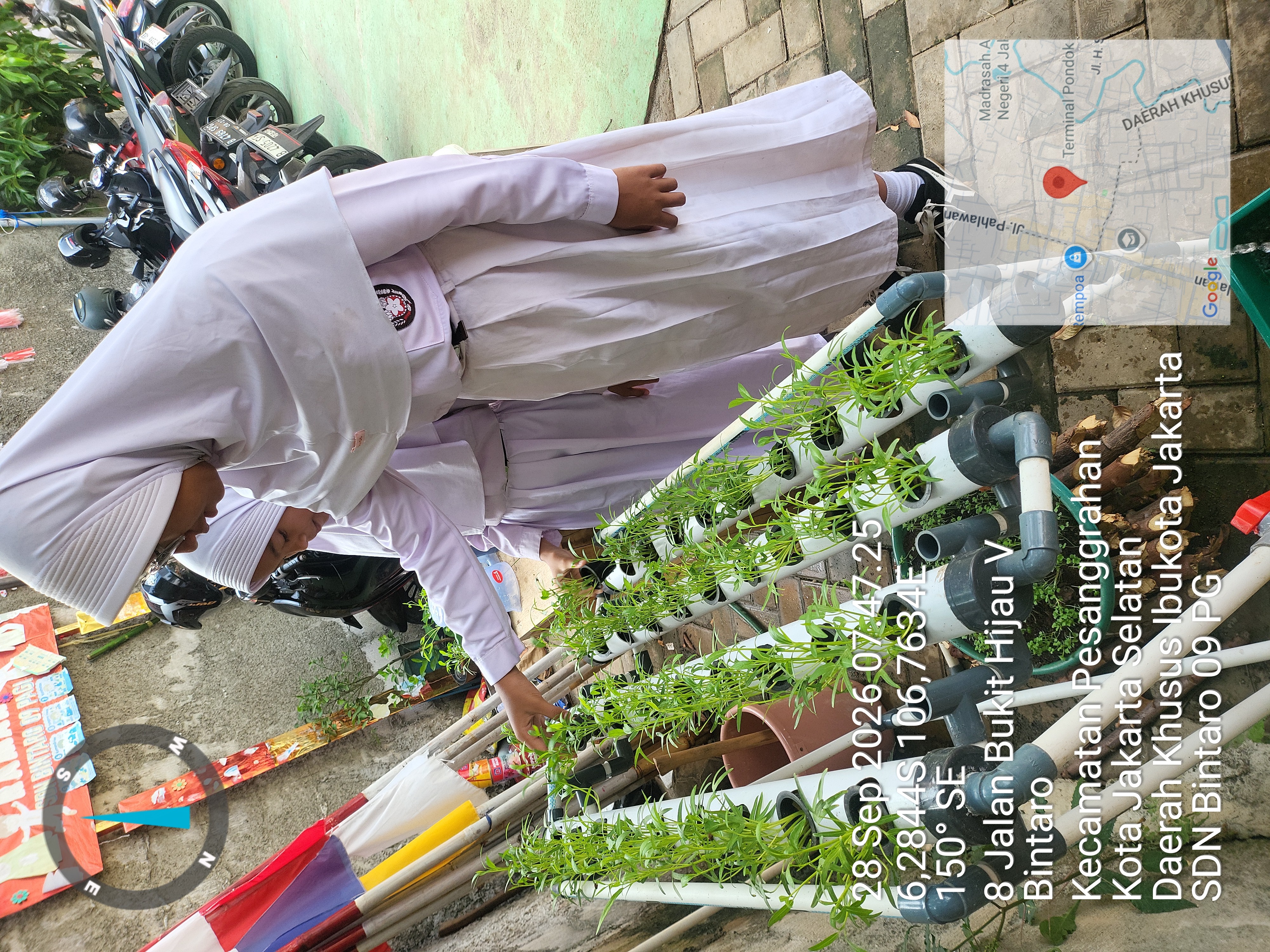 Lahan Urban Farming SDN Bintaro 09 - Gambar 74