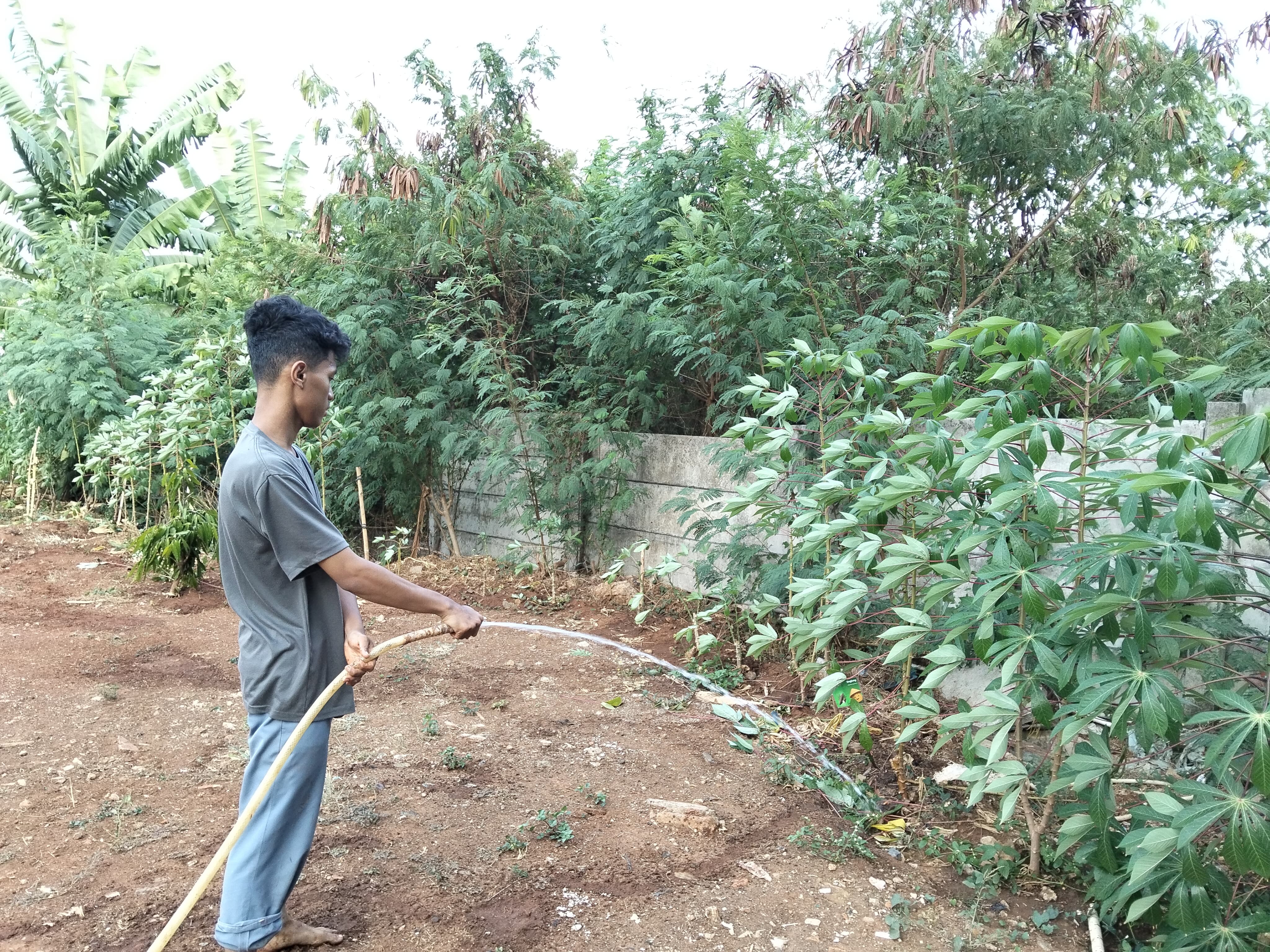 KEBUN SMKN 74 JAGAKARSA JAKARTA SELATAN - Gambar 180