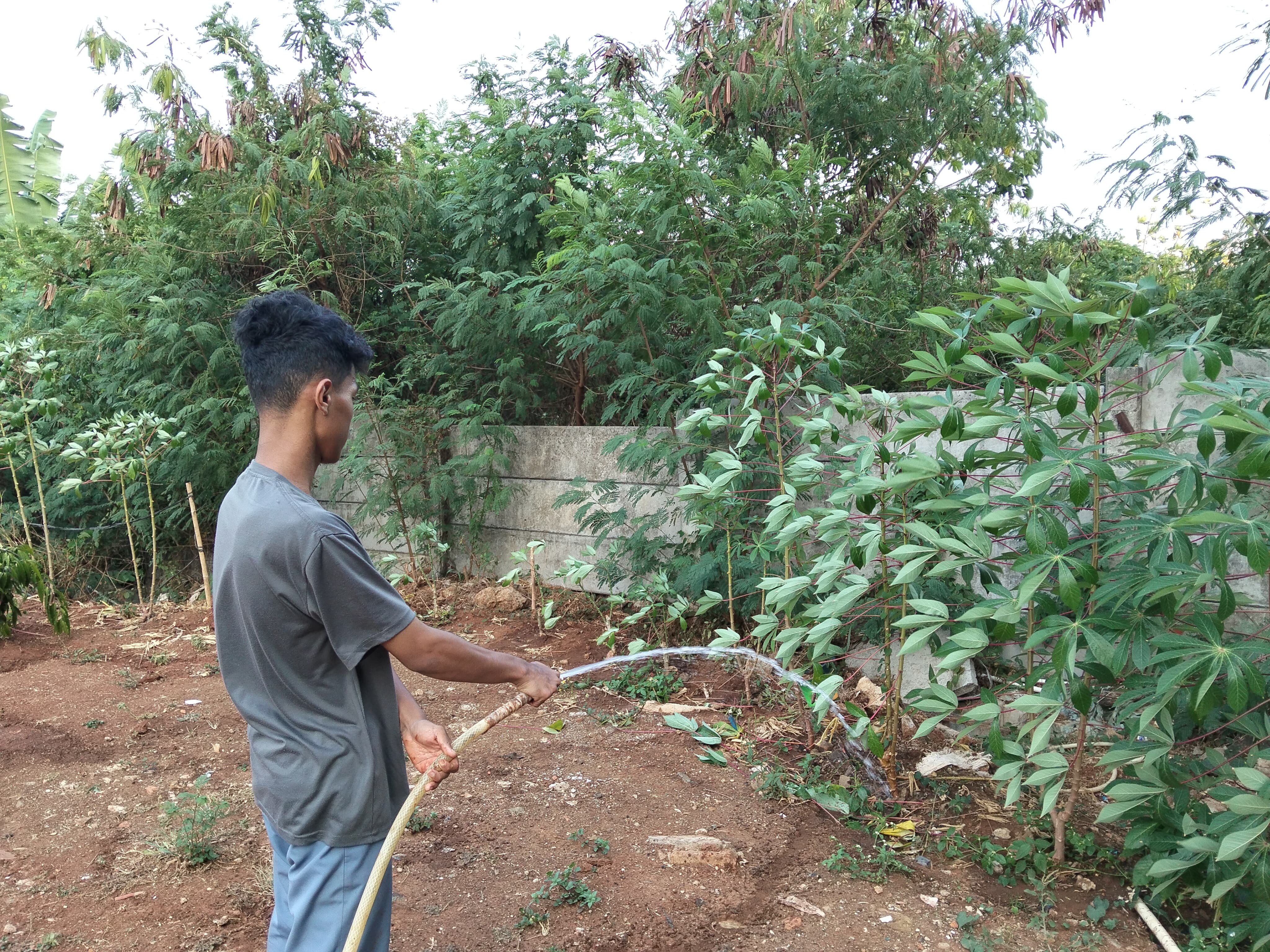 KEBUN SMKN 74 JAGAKARSA JAKARTA SELATAN - Gambar 179