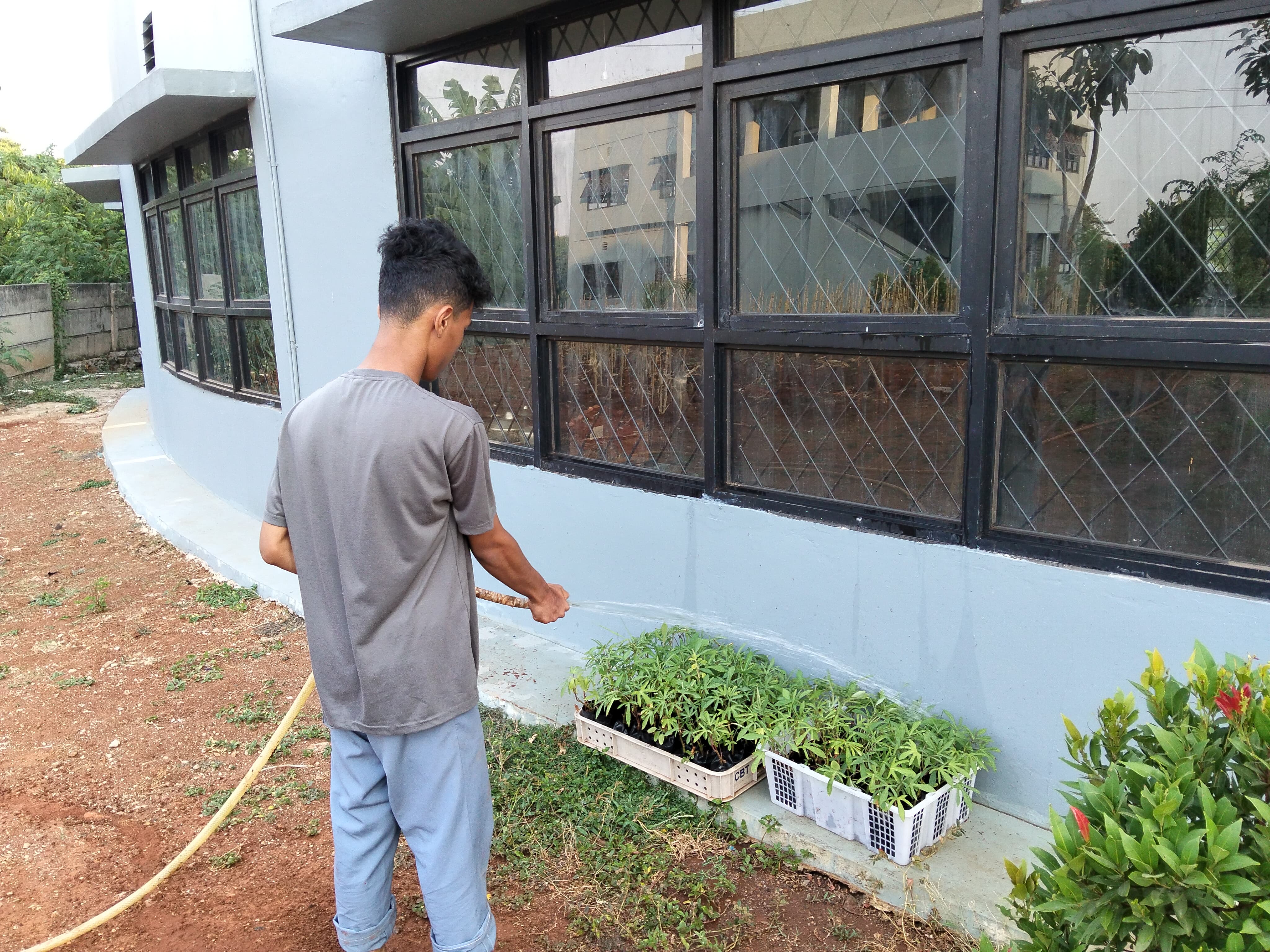 KEBUN SMKN 74 JAGAKARSA JAKARTA SELATAN - Gambar 177