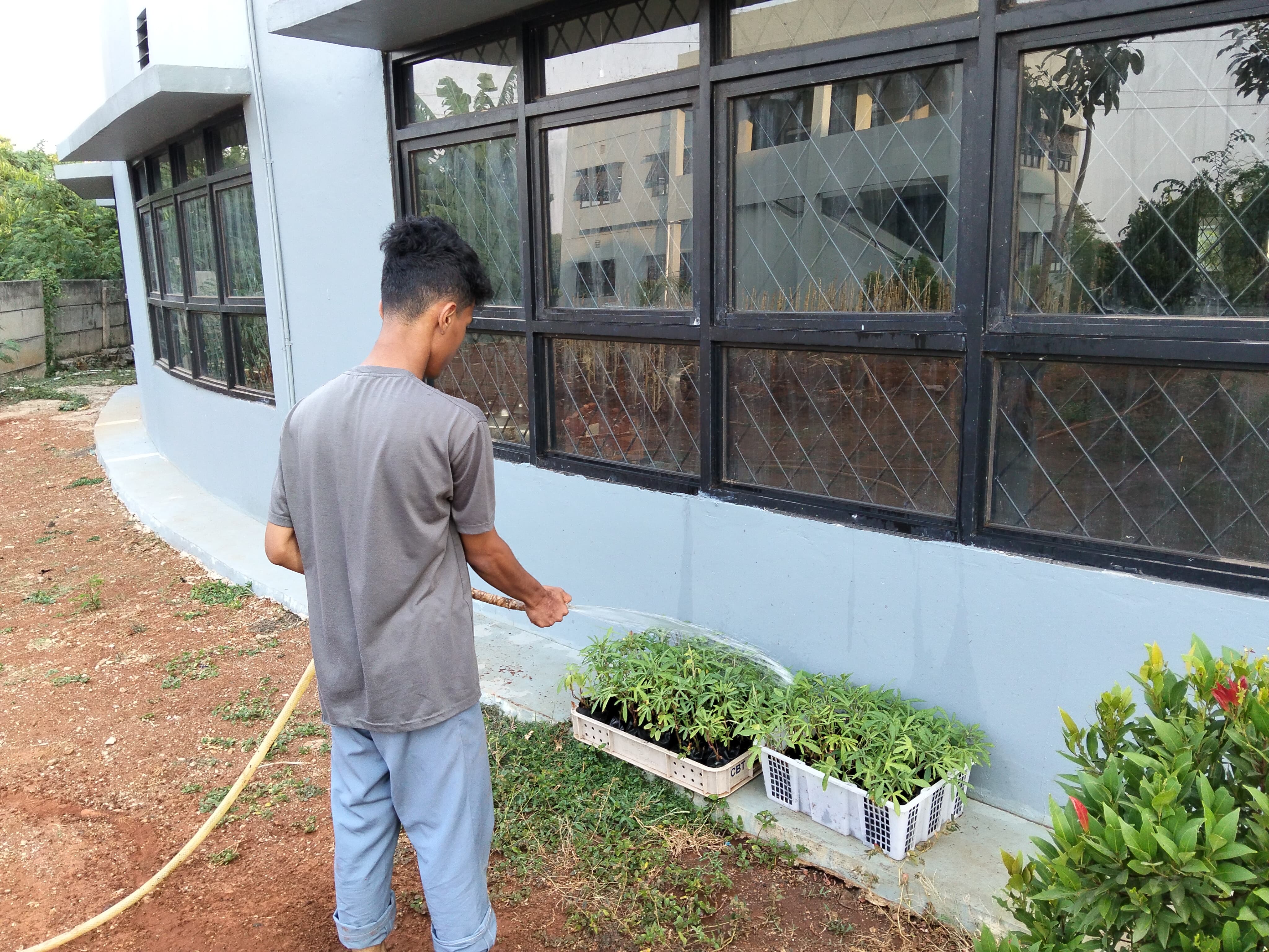 KEBUN SMKN 74 JAGAKARSA JAKARTA SELATAN - Gambar 178