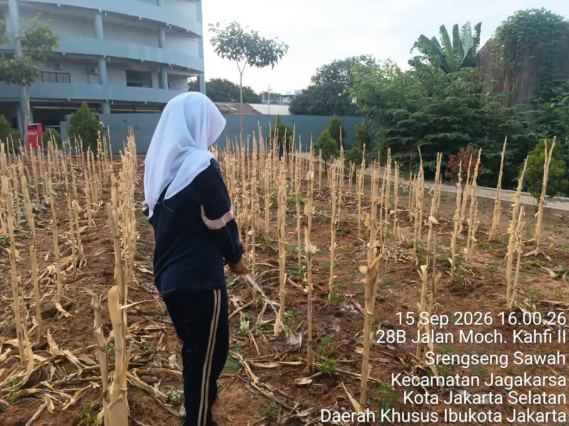 KEBUN SMKN 74 JAGAKARSA JAKARTA SELATAN - Gambar 172