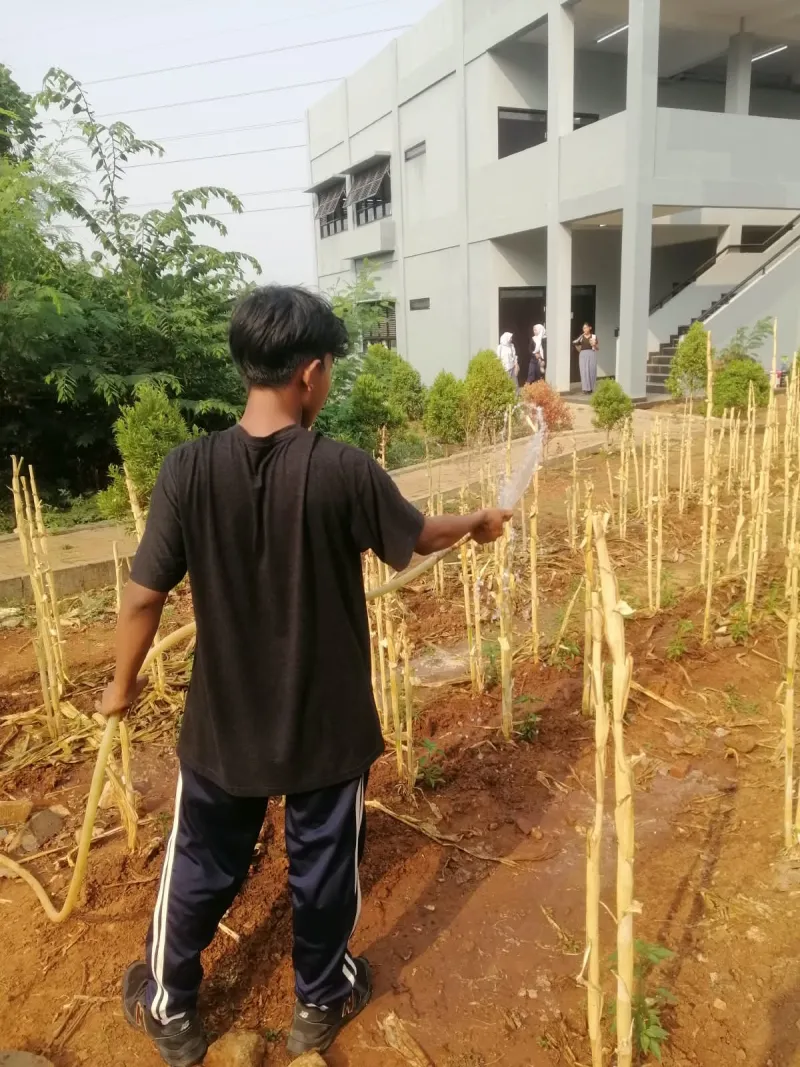 KEBUN SMKN 74 JAGAKARSA JAKARTA SELATAN - Gambar 168