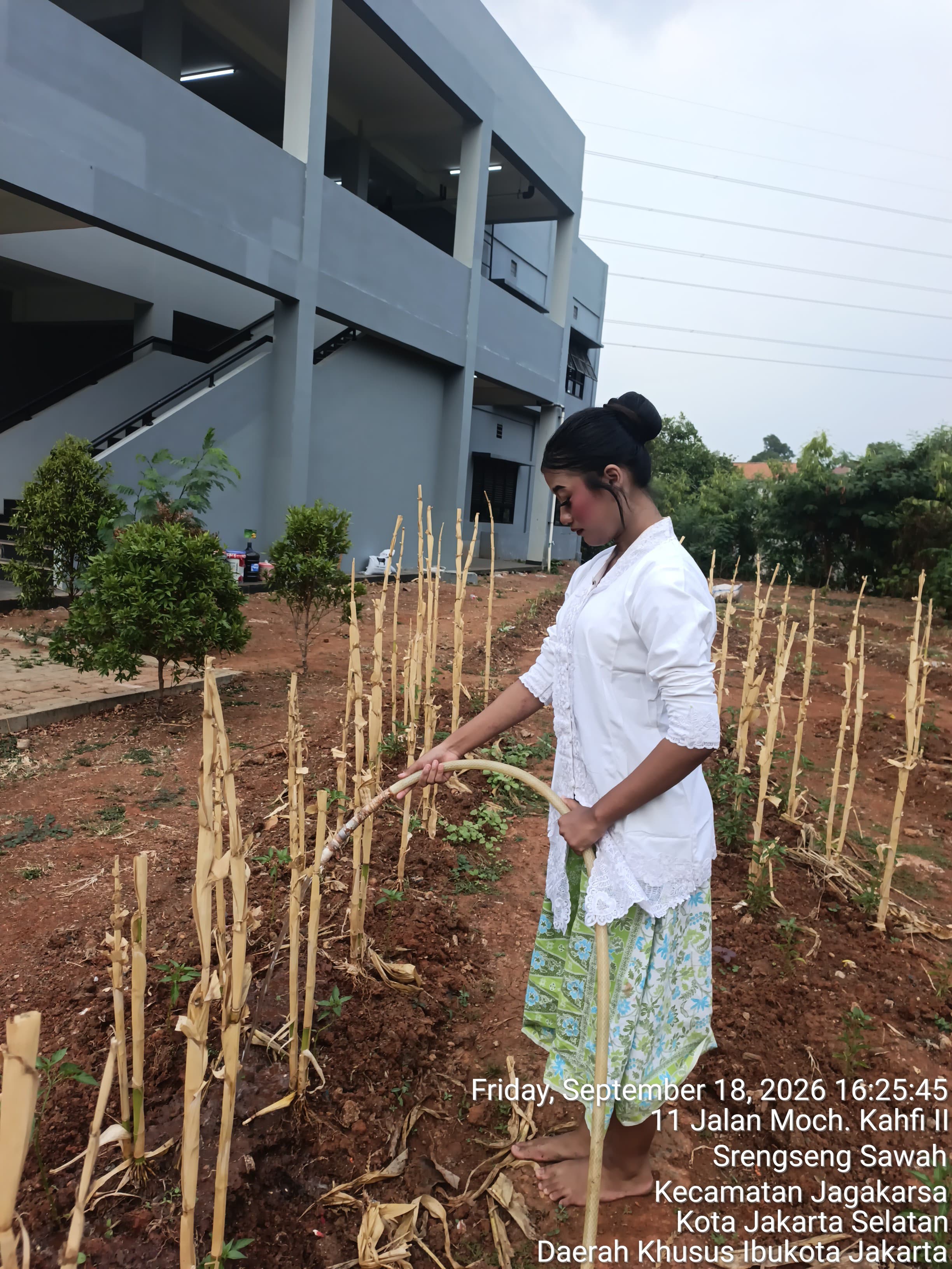 KEBUN SMKN 74 JAGAKARSA JAKARTA SELATAN - Gambar 167
