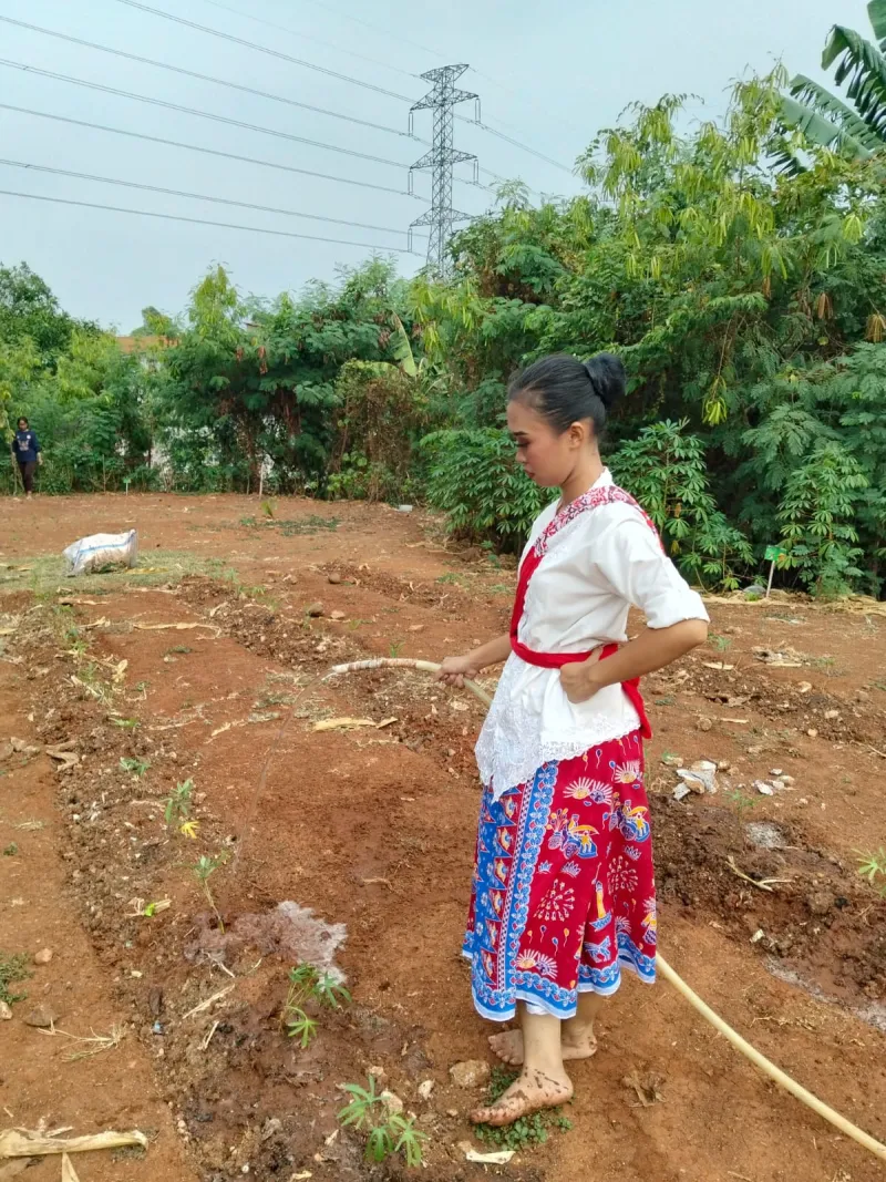 KEBUN SMKN 74 JAGAKARSA JAKARTA SELATAN - Gambar 165