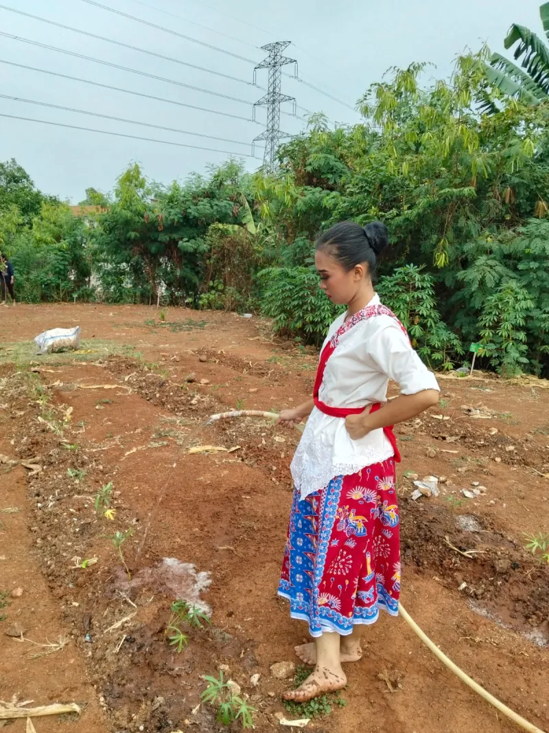 KEBUN SMKN 74 JAGAKARSA JAKARTA SELATAN - Gambar 164