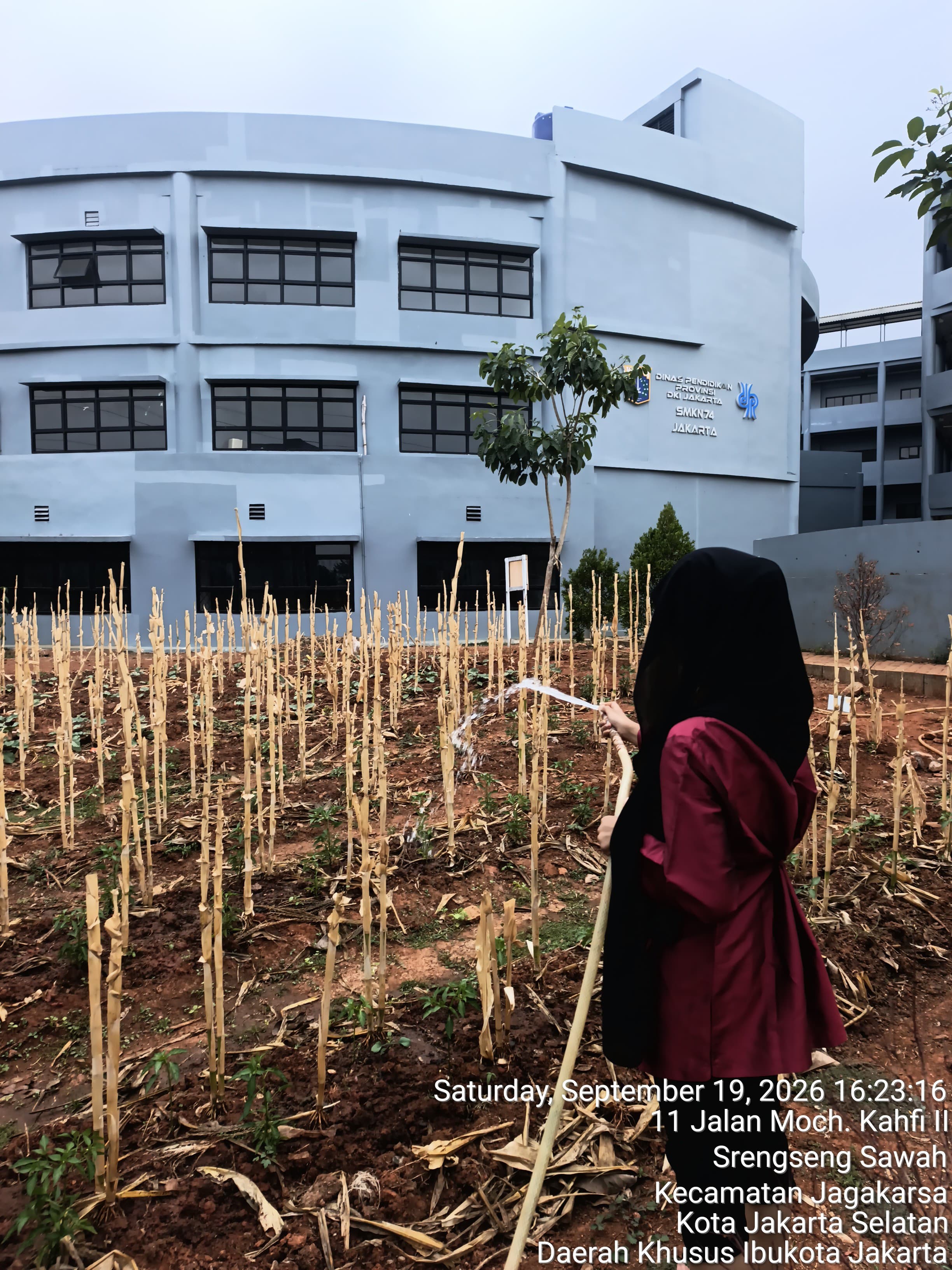 KEBUN SMKN 74 JAGAKARSA JAKARTA SELATAN - Gambar 162