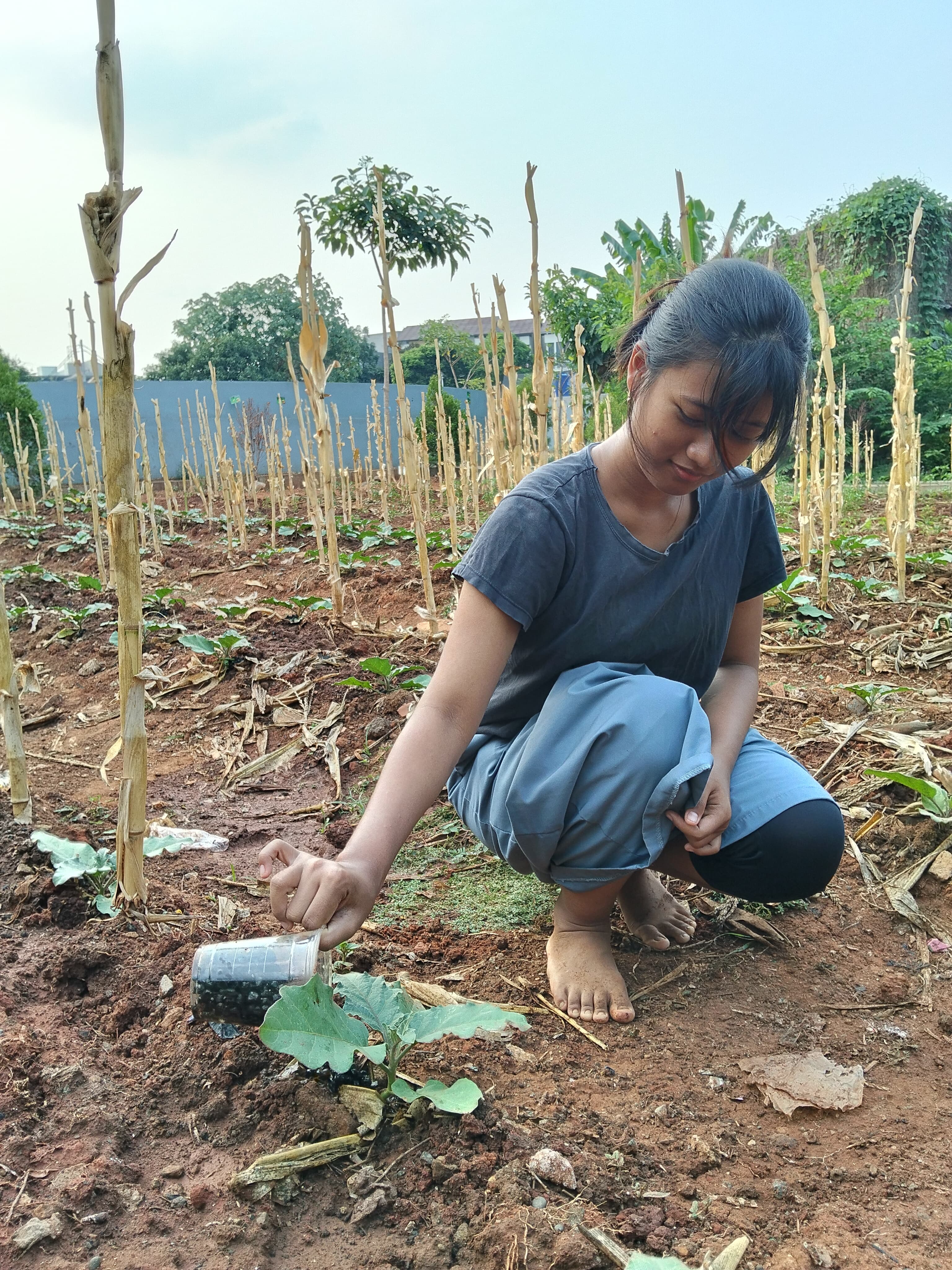 KEBUN SMKN 74 JAGAKARSA JAKARTA SELATAN - Gambar 160