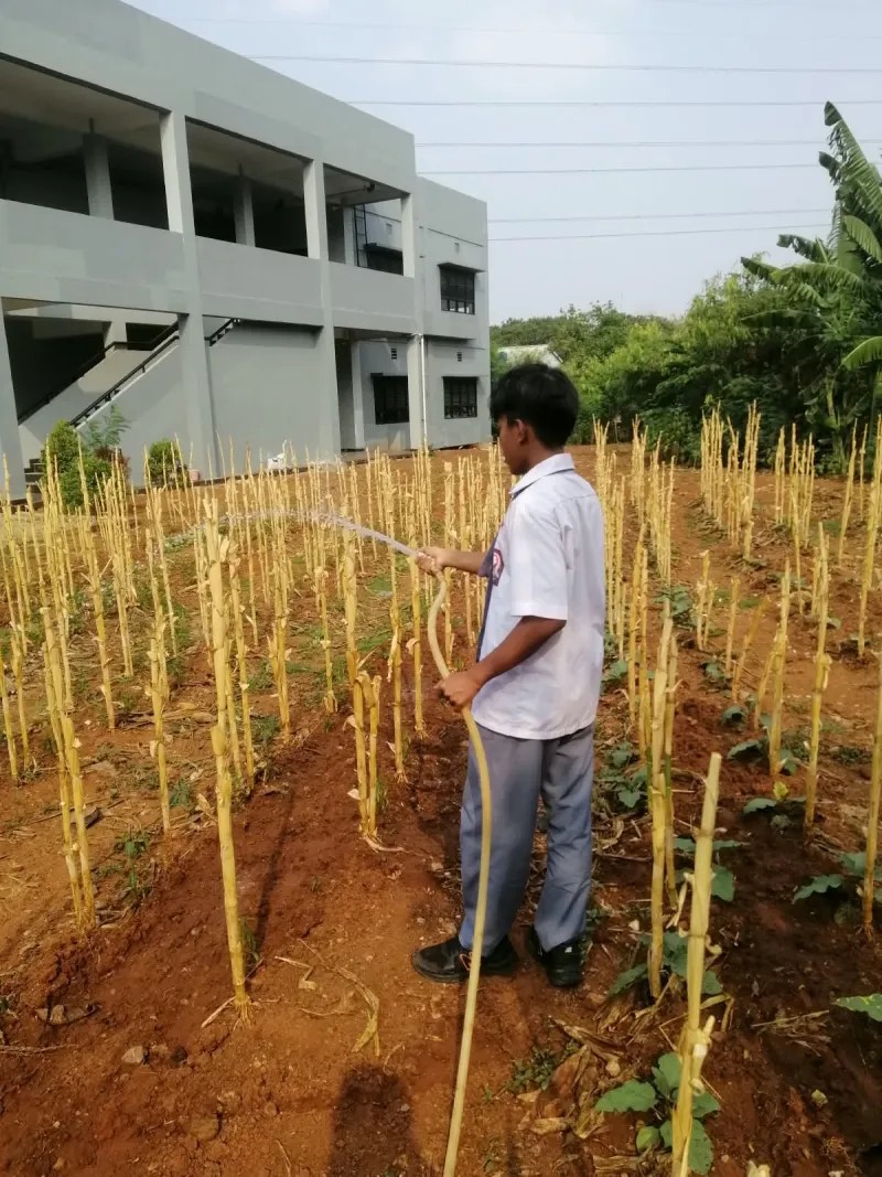KEBUN SMKN 74 JAGAKARSA JAKARTA SELATAN - Gambar 159