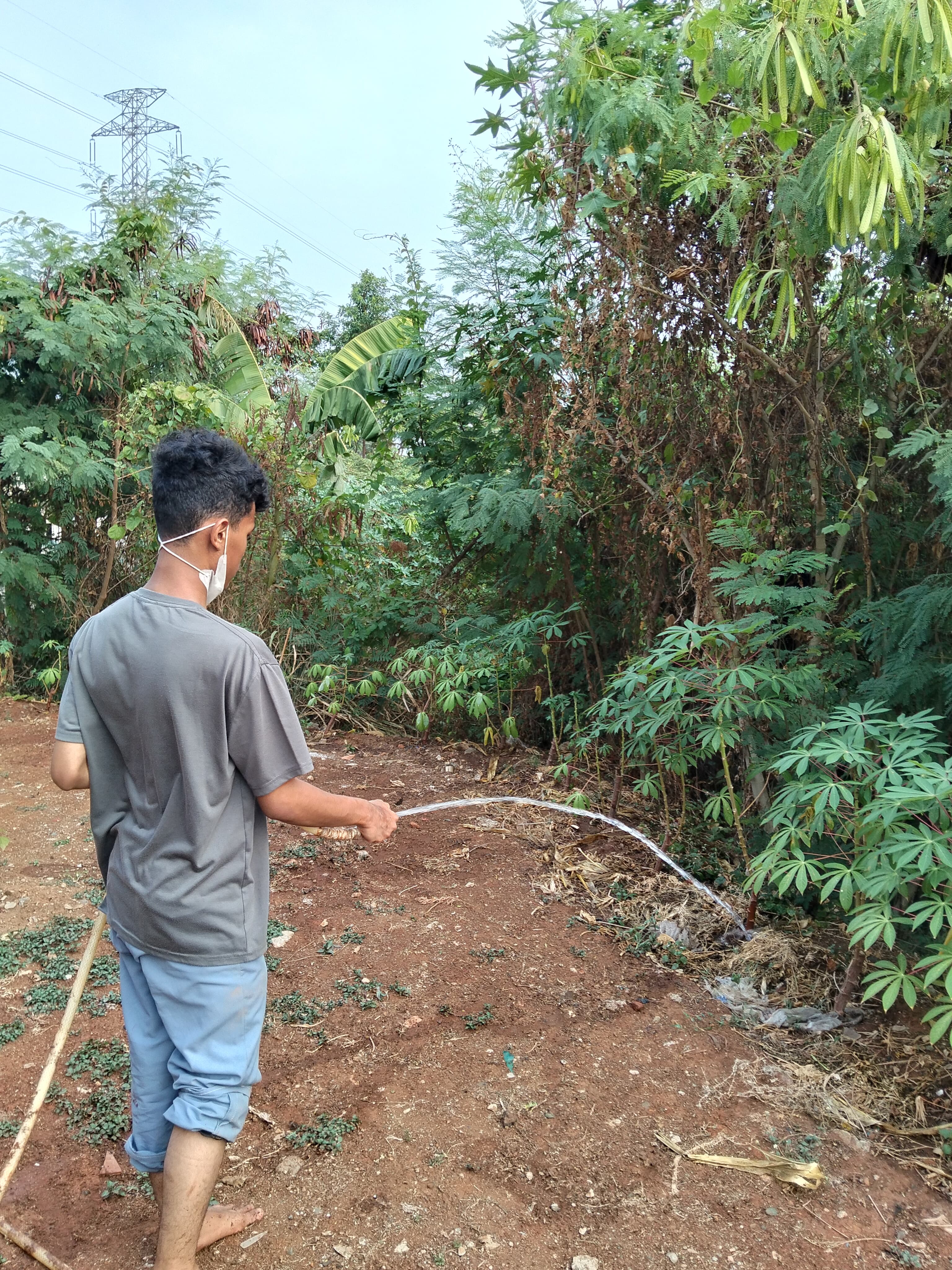 KEBUN SMKN 74 JAGAKARSA JAKARTA SELATAN - Gambar 157