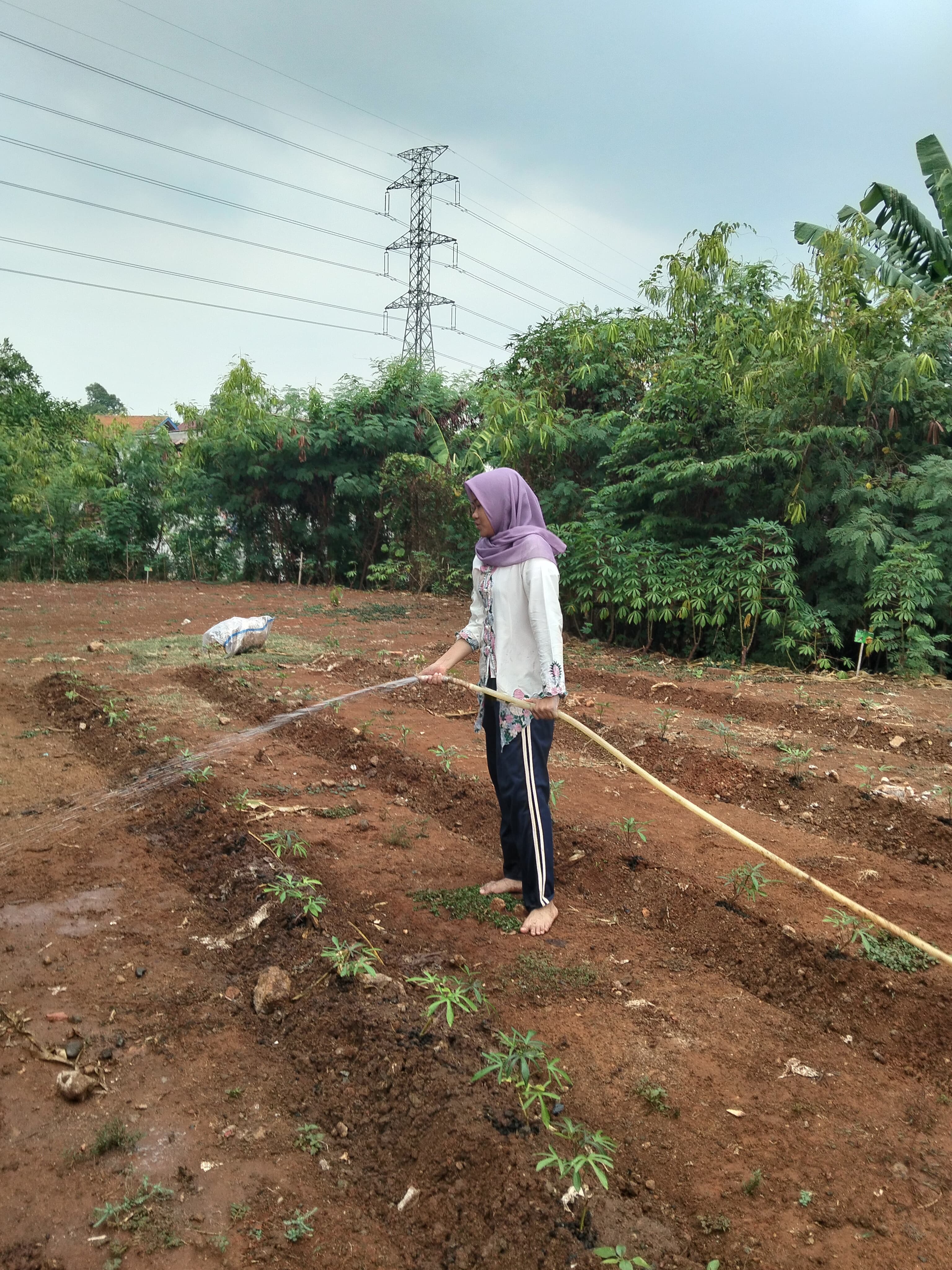KEBUN SMKN 74 JAGAKARSA JAKARTA SELATAN - Gambar 150