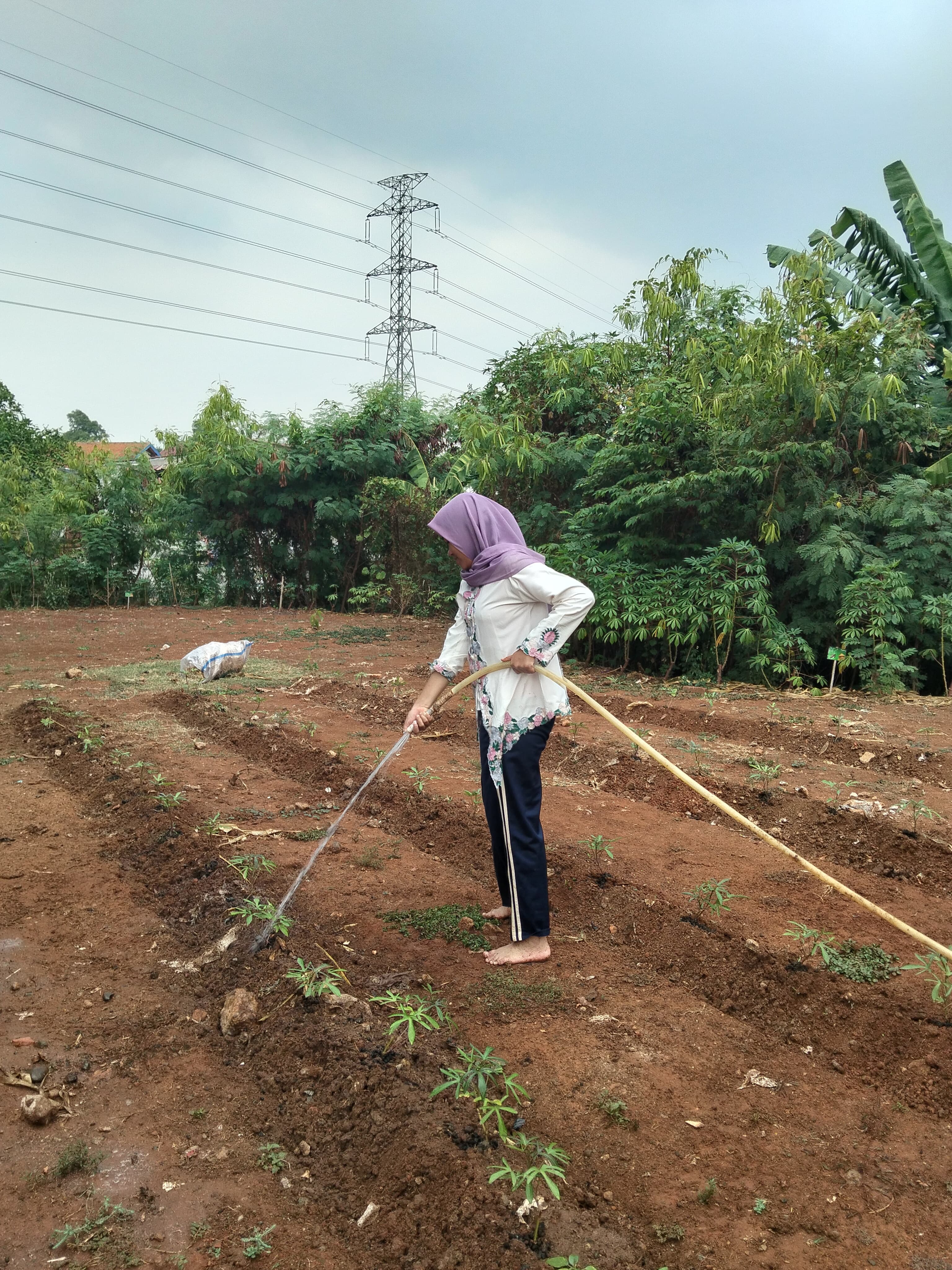 KEBUN SMKN 74 JAGAKARSA JAKARTA SELATAN - Gambar 151