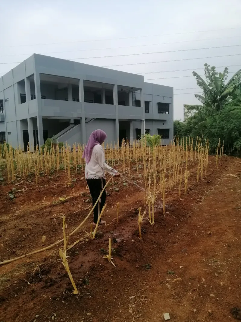 KEBUN SMKN 74 JAGAKARSA JAKARTA SELATAN - Gambar 148
