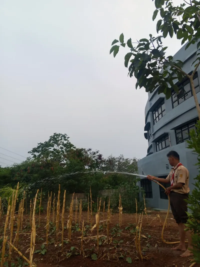 KEBUN SMKN 74 JAGAKARSA JAKARTA SELATAN - Gambar 145