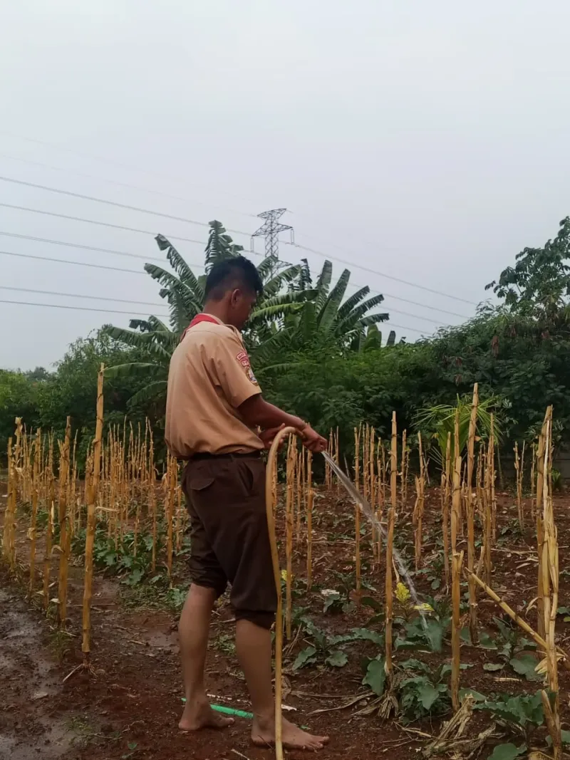 KEBUN SMKN 74 JAGAKARSA JAKARTA SELATAN - Gambar 146
